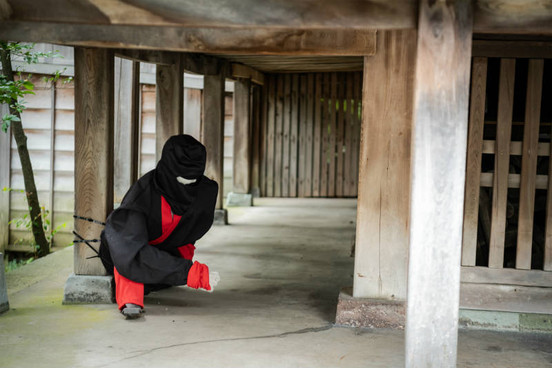 宇多須神社